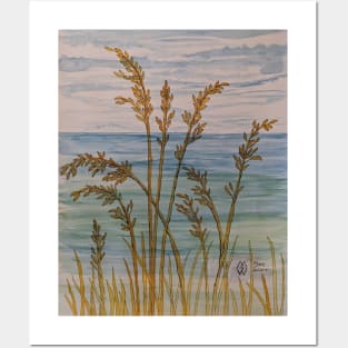 Sea oats at the Emerald Coast Posters and Art